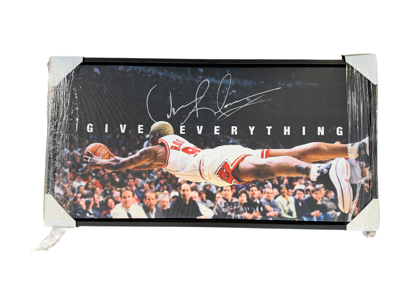 DENNIS RODMAN SIGNED CHICAGO BULLS DIVING 16x20 PHOTO W/ GIVE EVERYTHING