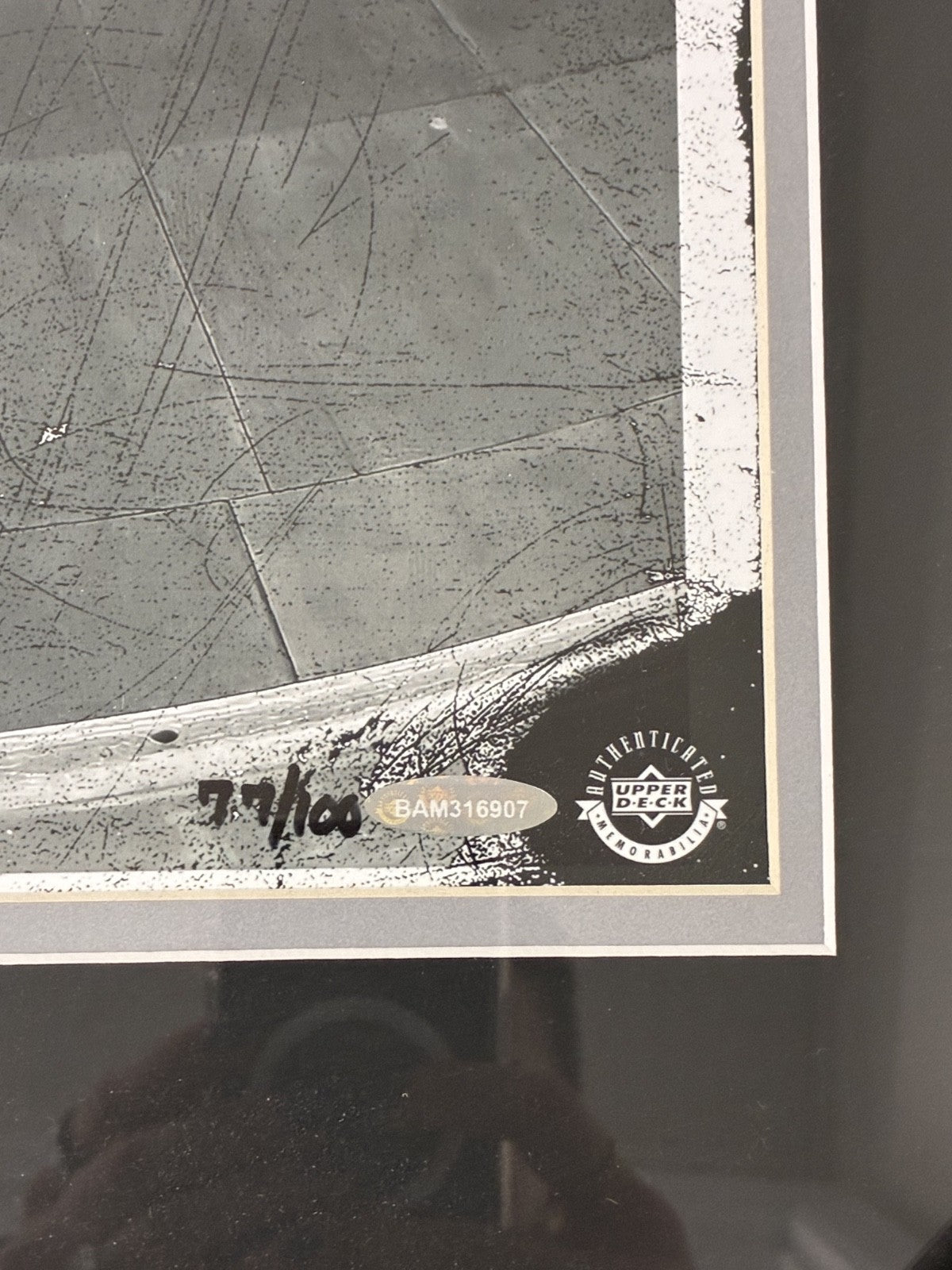 Tony Hawk Signed Autographed Framed 16x24 Photo Upper Deck COA