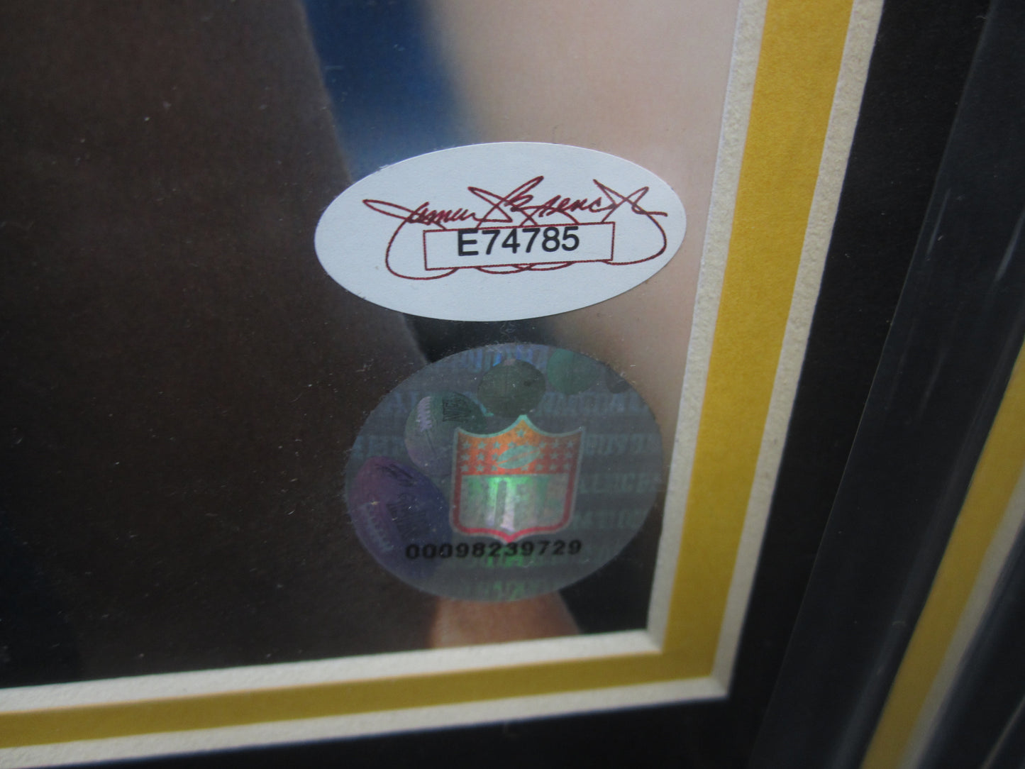 Pittsburgh Steelers Troy Polamalu Hand Signed Autographed 11x14 Photo Framed & Matted with JSA COA