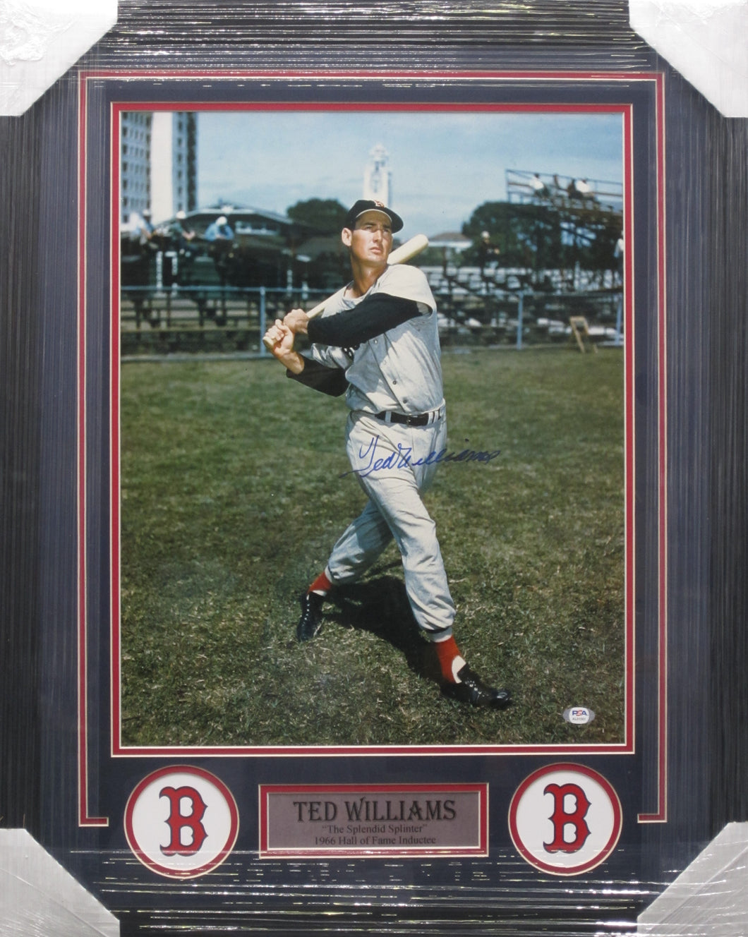 Boston Red Sox Ted Williams Signed 16x20 Photo Framed & Matted with PSA COA