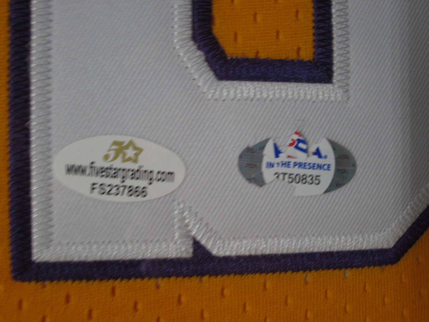 Los Angeles Lakers Robert Horry Hand Signed Autographed Custom Gold Jersey Framed & Matted with PSA COA