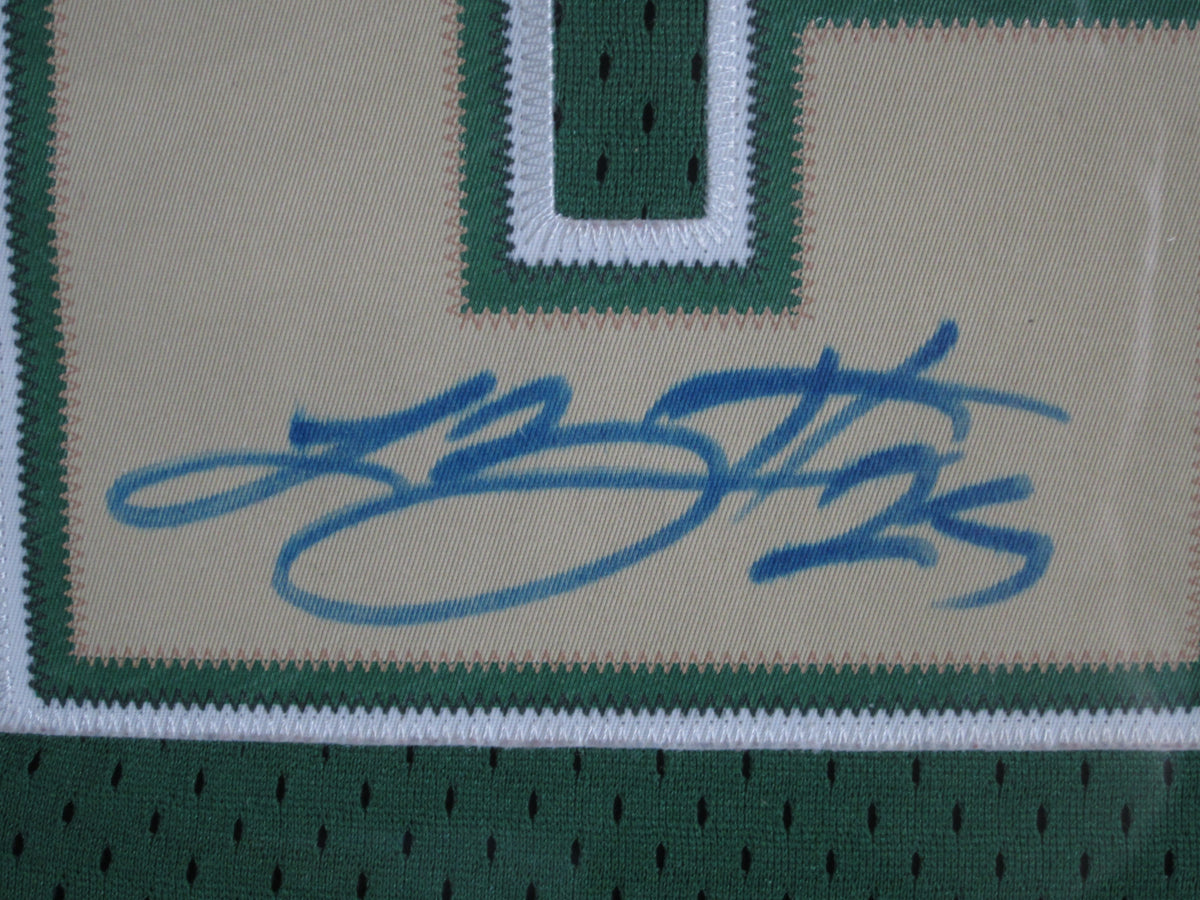 stitched lebron jersey