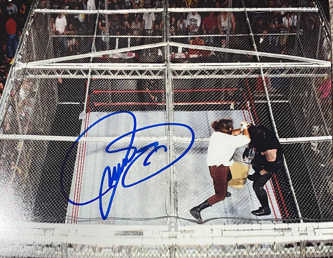 Mick Foley WWE Signed 16x20 Cage Photo w/ Undertaker (Blue Ink) JSA COA