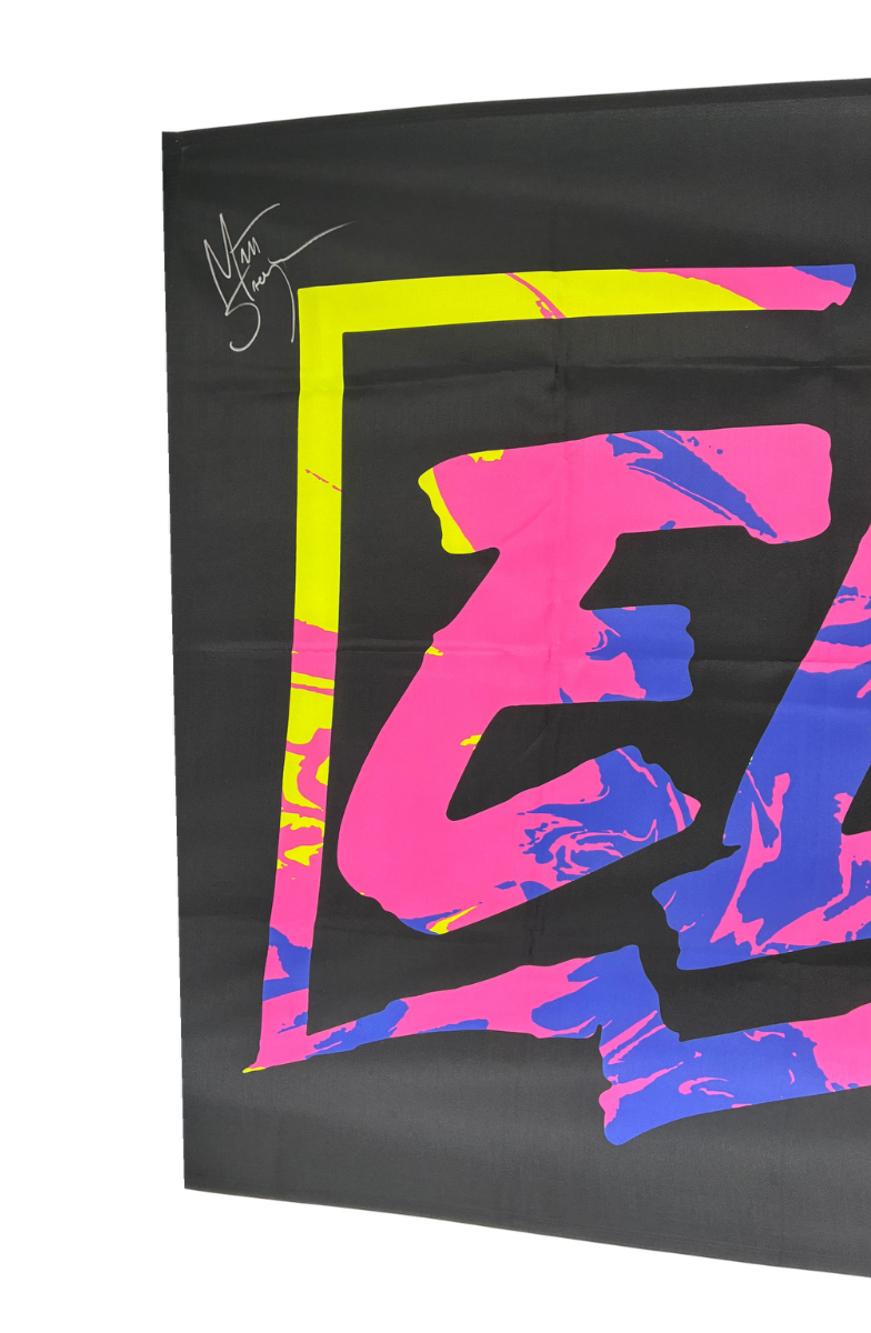 Matthew & Nicholas Jackson Signed Autographed Elite Flag Upper Deck COA