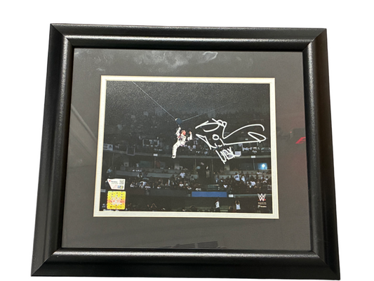 Shawn Michaels Signed Autographed WWE 8x10 Custom Framed Photo Fanatics