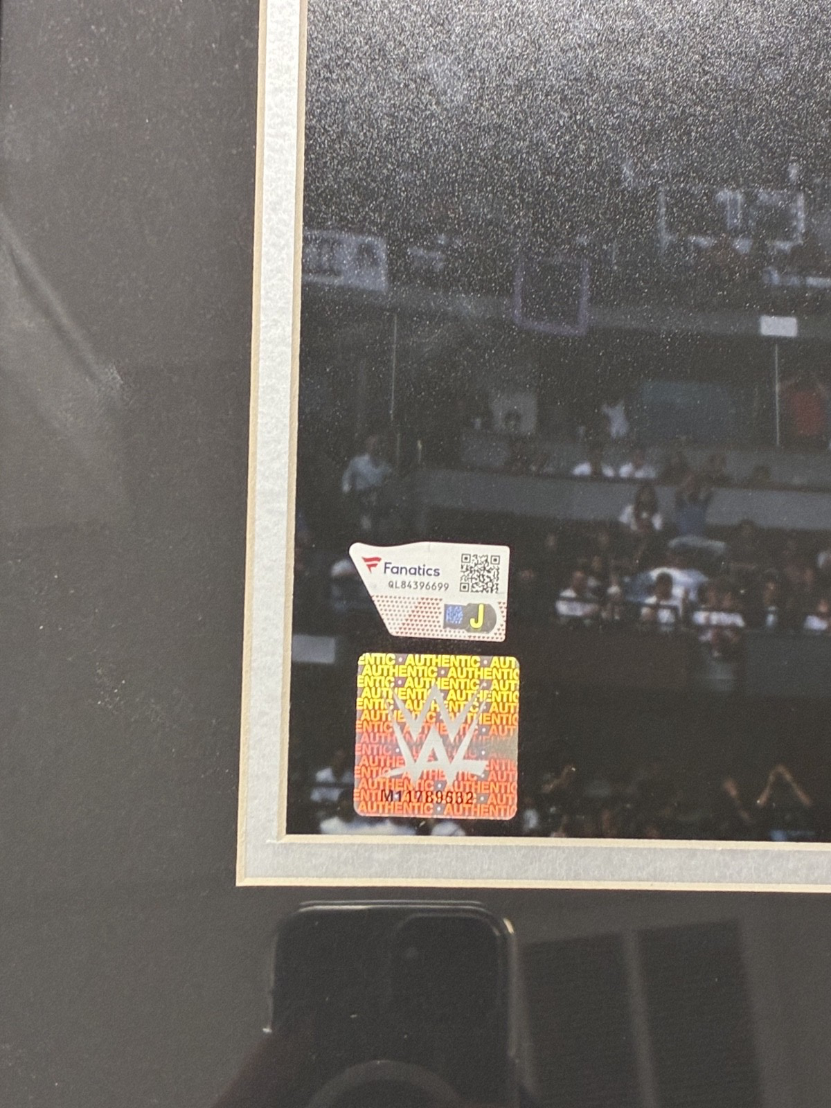 Shawn Michaels Signed Autographed WWE 8x10 Custom Framed Photo Fanatics