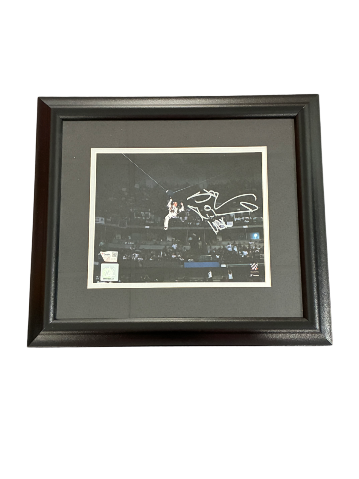 Shawn Michaels Signed Autographed WWE 8x10 Custom Framed Photo Fanatics