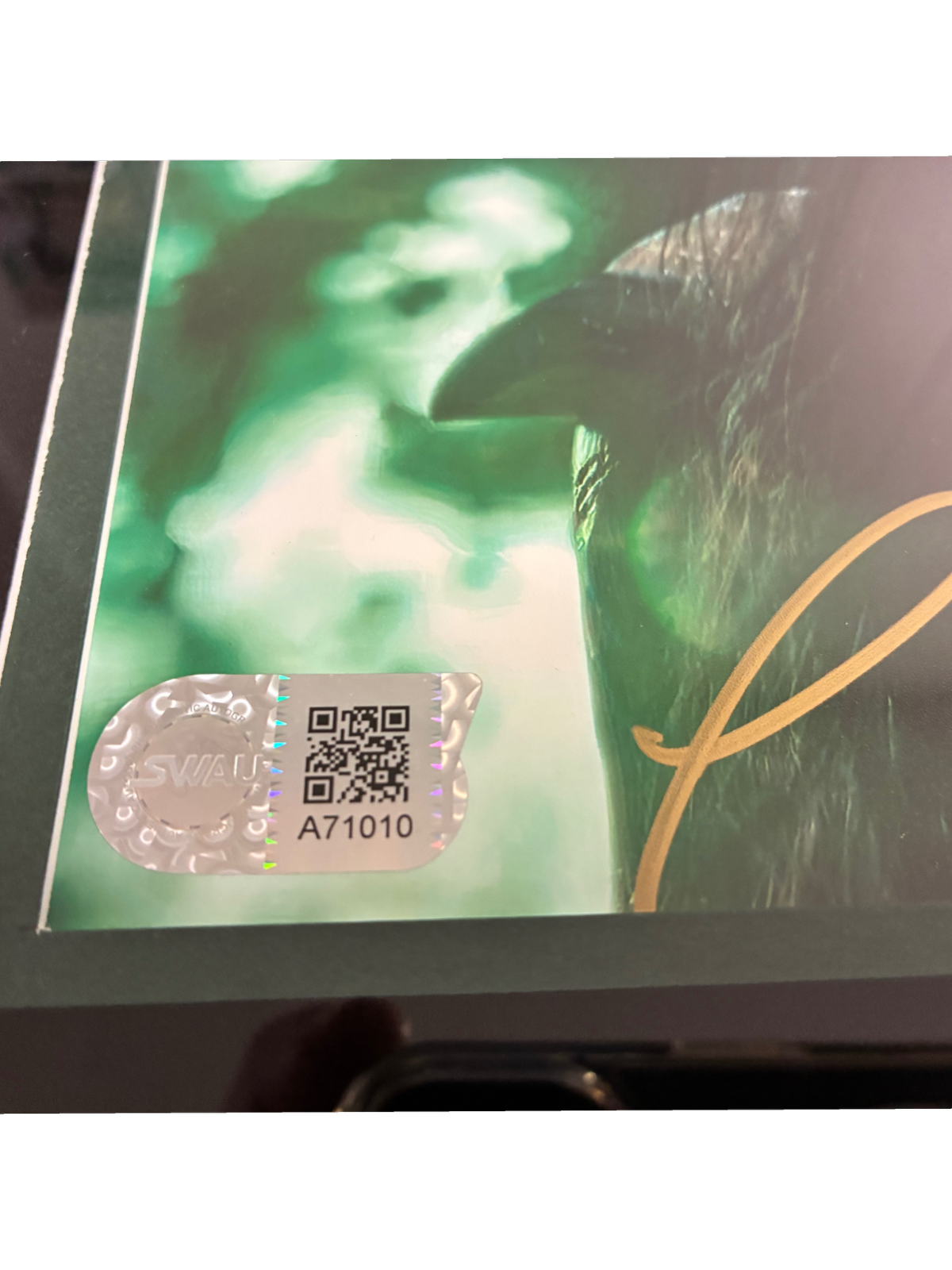 Cate Blanchett Signed Autographed Custom Framed 8x10 Thor Ragnorak Hela SWAU