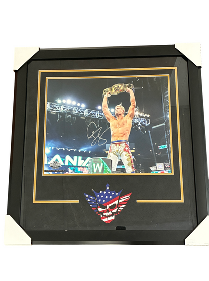 Cody Rhodes Signed Autographed WWE 16x20 Custom Framed Photo Fanatics Authentic