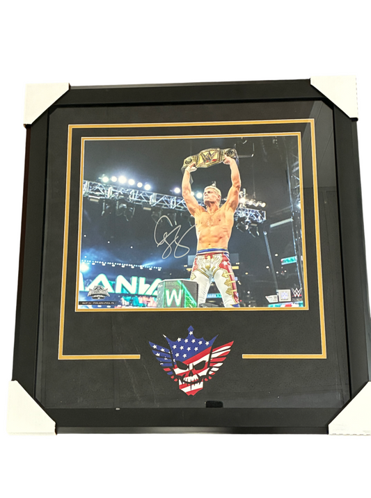 Cody Rhodes Signed Autographed WWE 16x20 Custom Framed Photo Fanatics Authentic