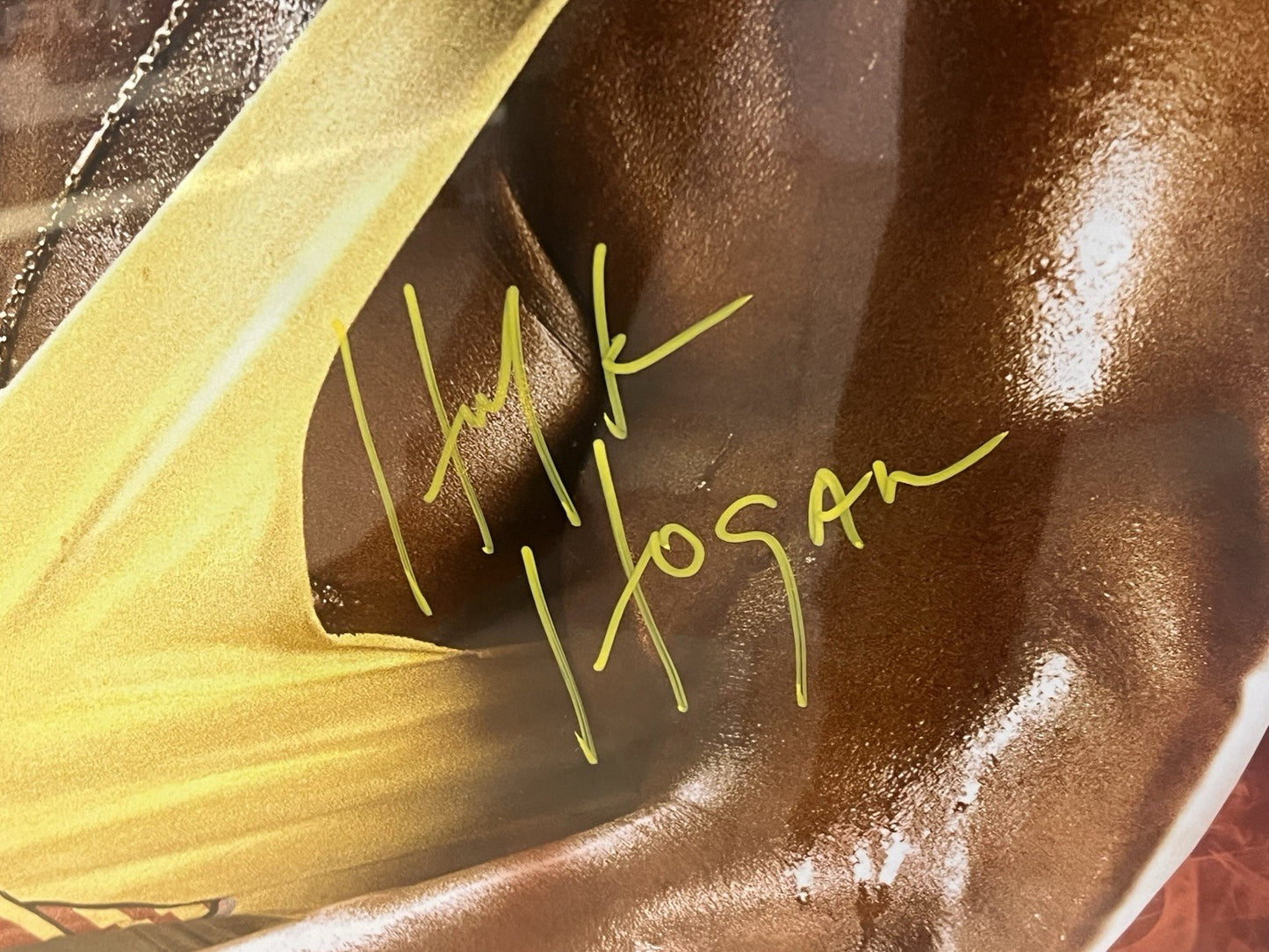 Hulk Hogan Signed Autographed Photo Custom WWE 2k14 Frame Hogan, PSA Coa