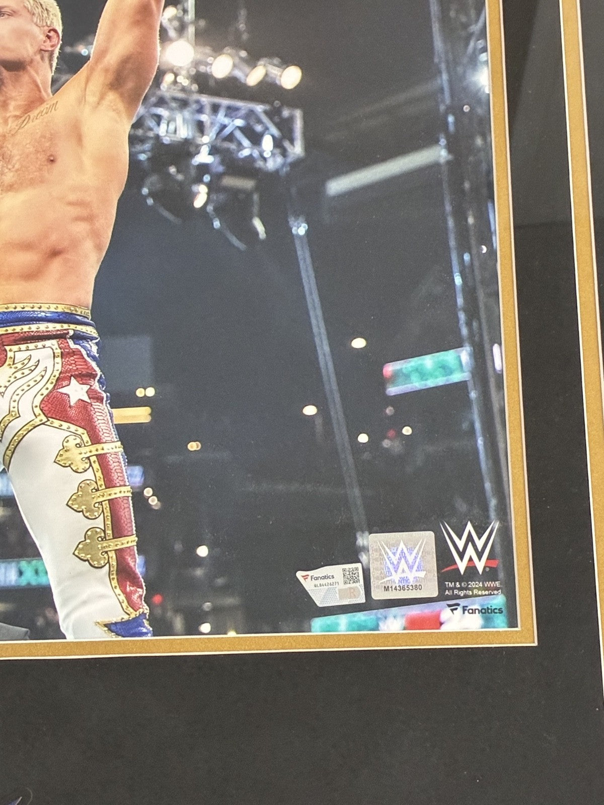 Cody Rhodes Signed Autographed WWE 16x20 Custom Framed Photo Fanatics Authentic