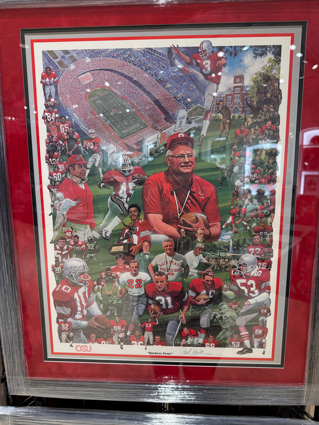 Ohio State Buckeyes framed photo