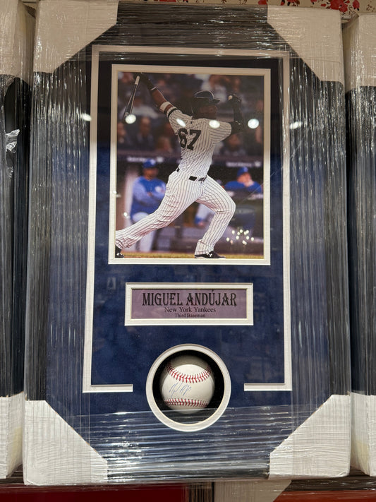 New York Yankees Miguel Andujar Signed Autographed Baseball Custom Framed COA