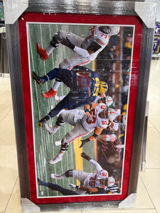 The Ohio State Buckeyes Luke WYPLER Signed Autographed Big Photo Custom Framed JSA COA