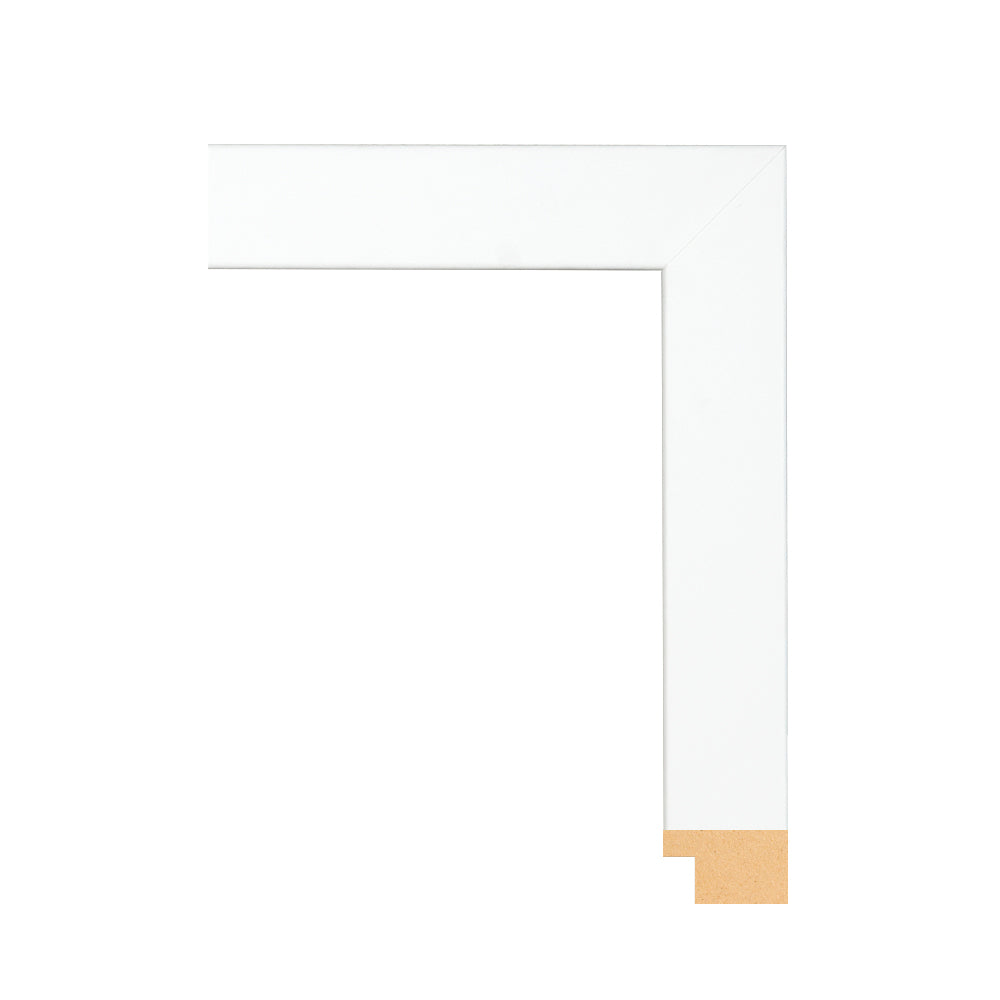 40x32 Gallery White Frame Moulding Upgrade