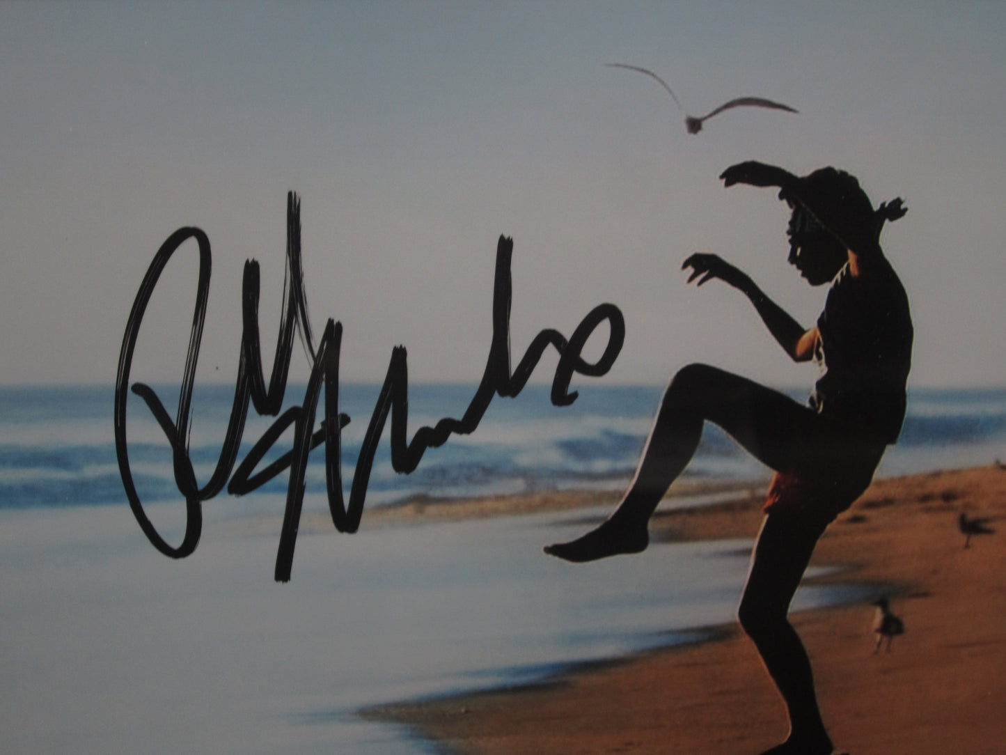 Karate Kid Movie Series "Daniel LaRusso" Ralph Macchio Hand Signed Autographed 8x10 Photo Framed & Matted with BECKETT COA