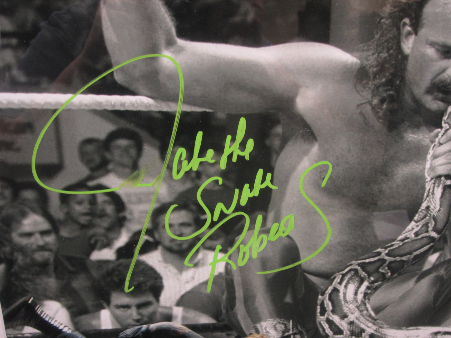American Professional Wrestler Jake "The Snake" Roberts Hand Signed Autographed 16x20 Photo Collage Custom Framed & Matted with COA