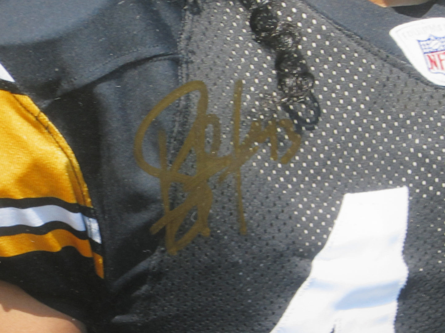 Pittsburgh Steelers Troy Polamalu Hand Signed Autographed 11x14 Photo Framed & Matted with JSA COA