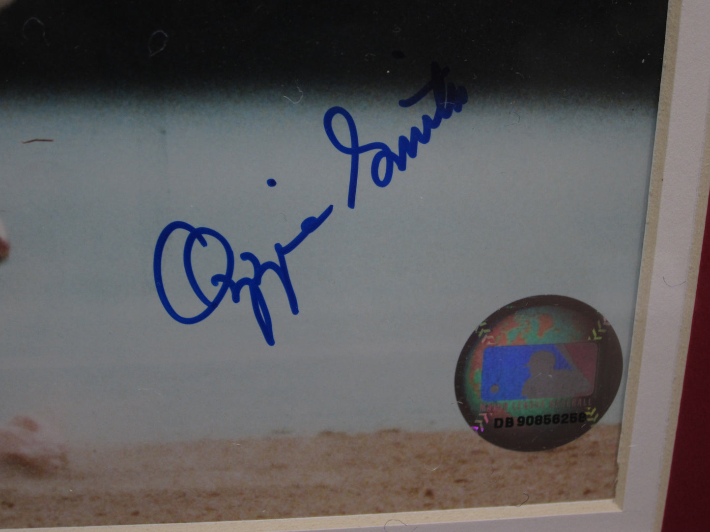 St. Louis Cardinals Ozzie Smith Hand Signed Autographed 8x10 Photo Custom Framed & Matted with COA