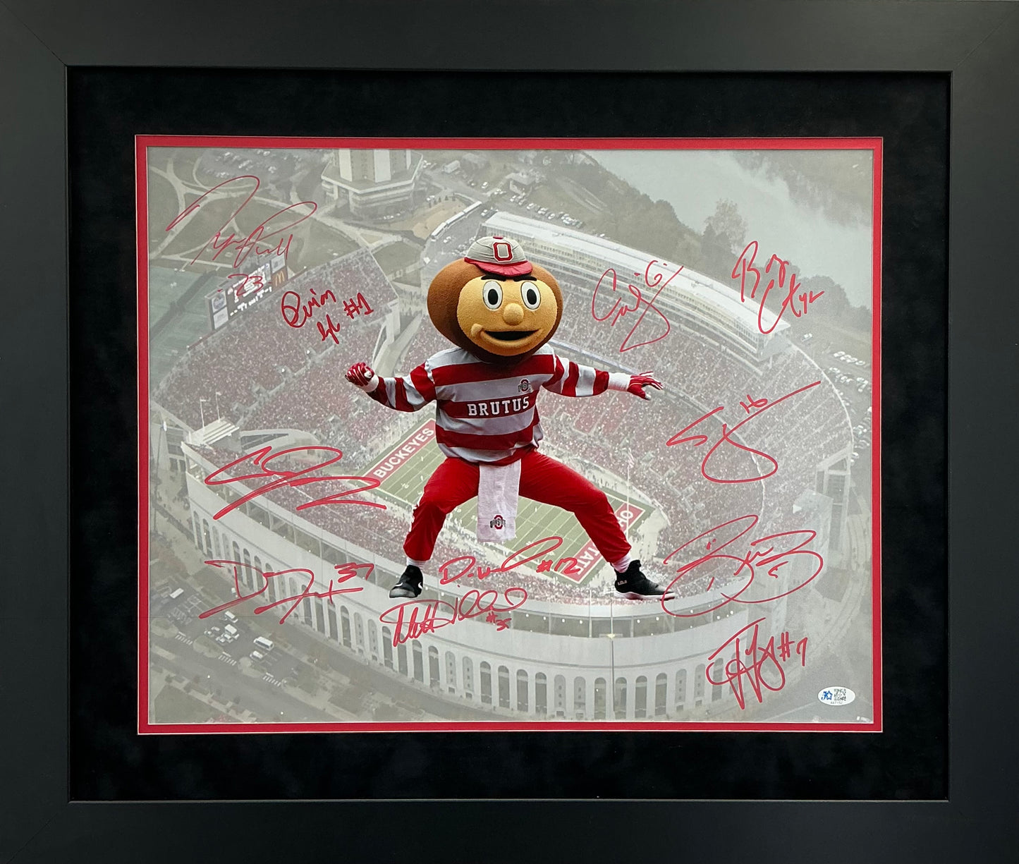 The Ohio State Buckeyes Multi Hand Signed Autographed Framed 16x20 Five Star COA