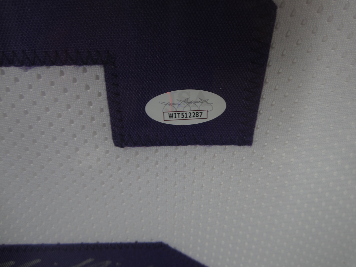 Louisiana State Tigers Jacob Phillips Signed Jersey with CHAMPS -19 Inscription Framed & Matted with JSA COA
