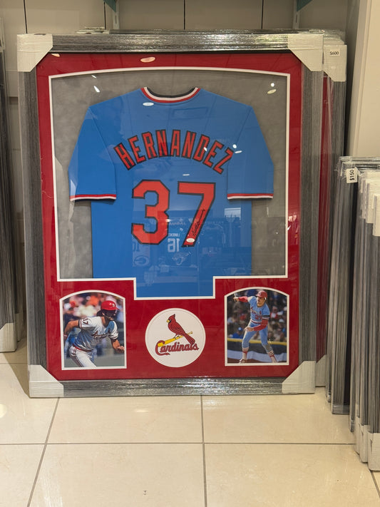 St. Louis Cardinals Keith Hernandez Hand Signed Autographed Custom Blue Jersey Framed with Suede Matting Includes JSA COA