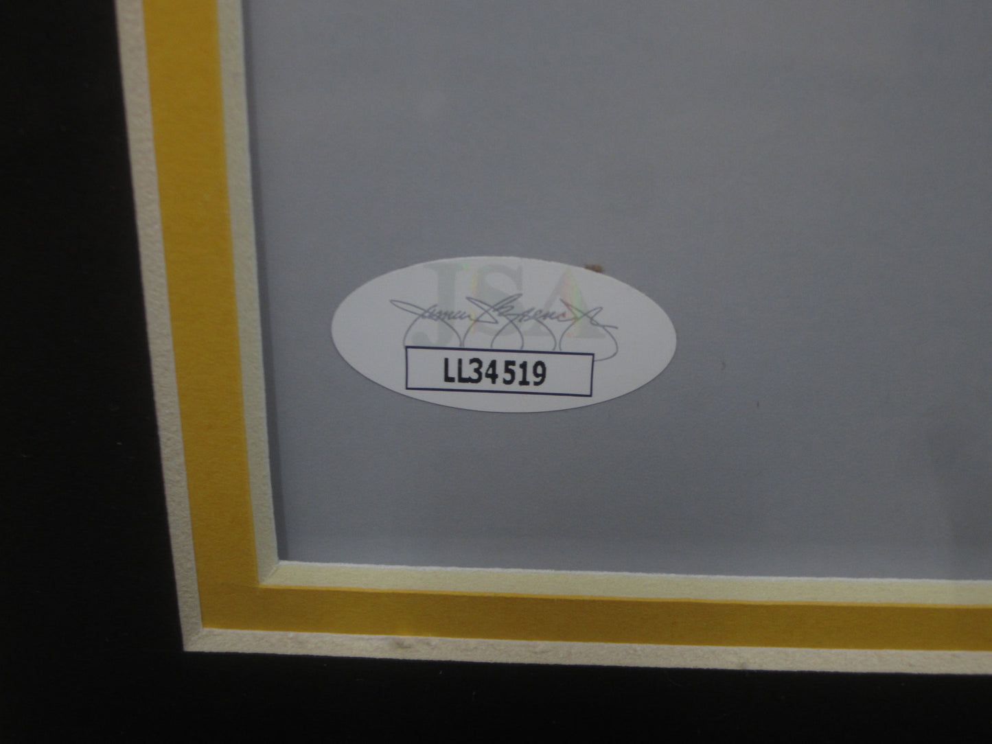 Pittsburgh Steelers James Harrison Signed 16x20 Smoke Entrance Photo Framed & Matted with JSA COA