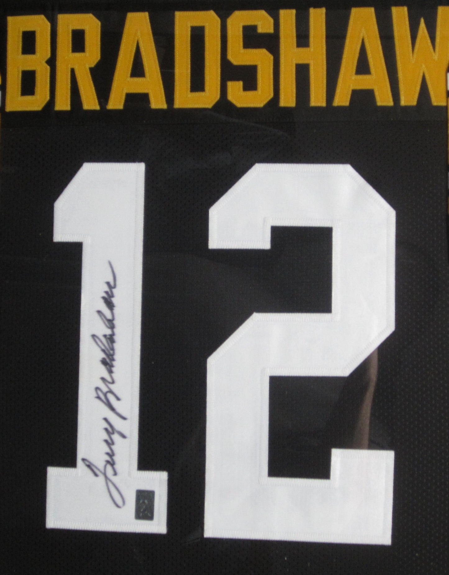 Pittsburgh Steelers Terry Bradshaw Hand Signed Autographed Career Achievements Stat Black Jersey Framed & Matted with Terry Bradshaw Hologram COA