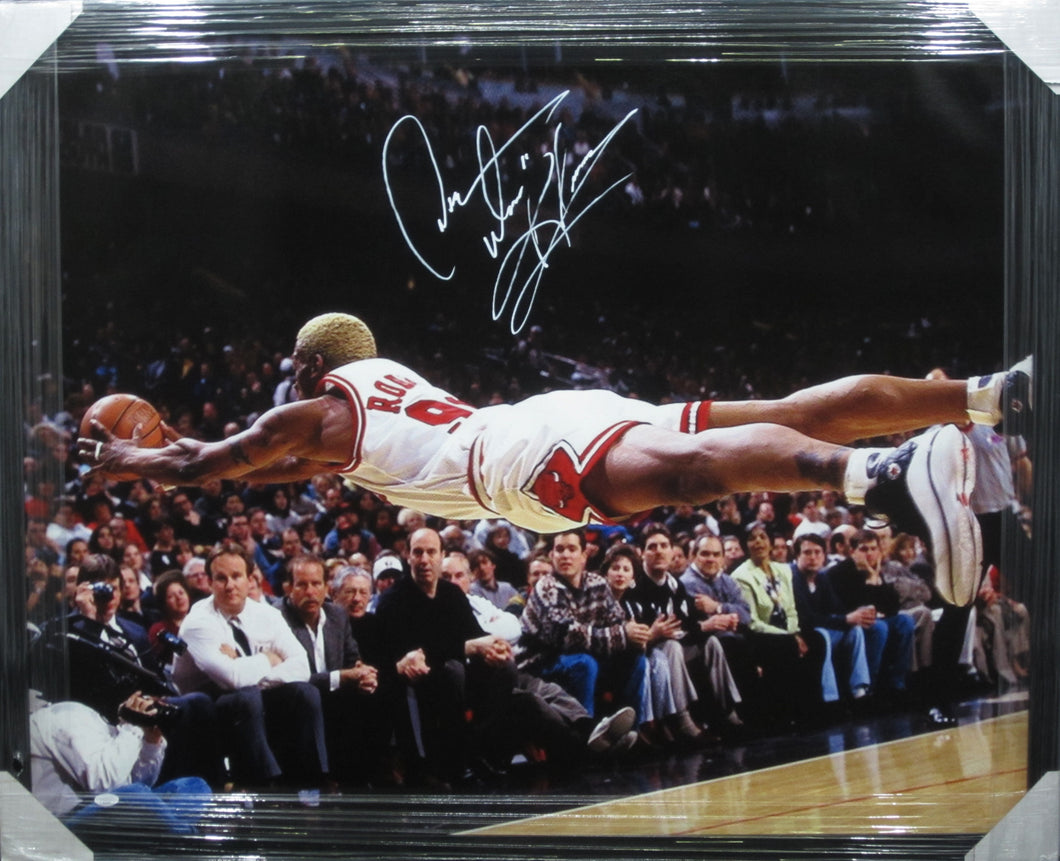 Chicago Bulls Dennis Rodman Signed Large Canvas Framed & Matted with JSA COA