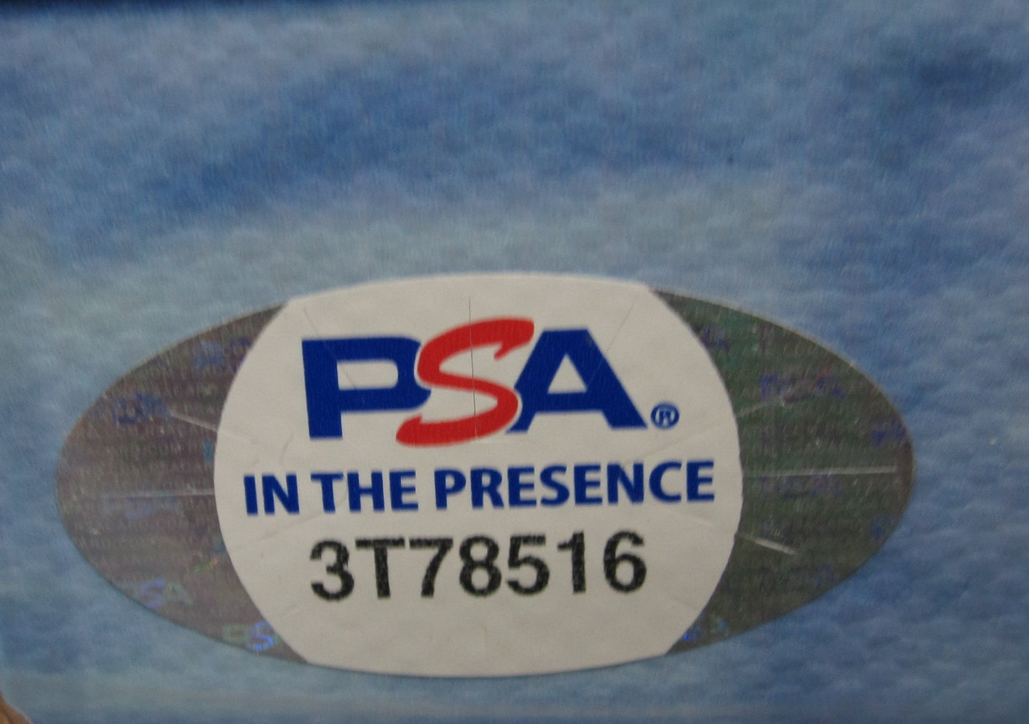 American Professional Wrestler Kevin "Diesel" Nash Hand Signed Autographed Large Collage Canvas Custom Framed & Matted with PSA COA