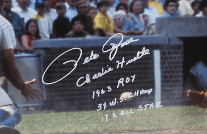 Cincinnati Reds Pete Rose Hand Signed Autographed Large Canvas with Charlie Hustle, 1963 ROY, 3X W.S. Champ, & 17X All Star Inscriptions Framed & Matted with PSA COA