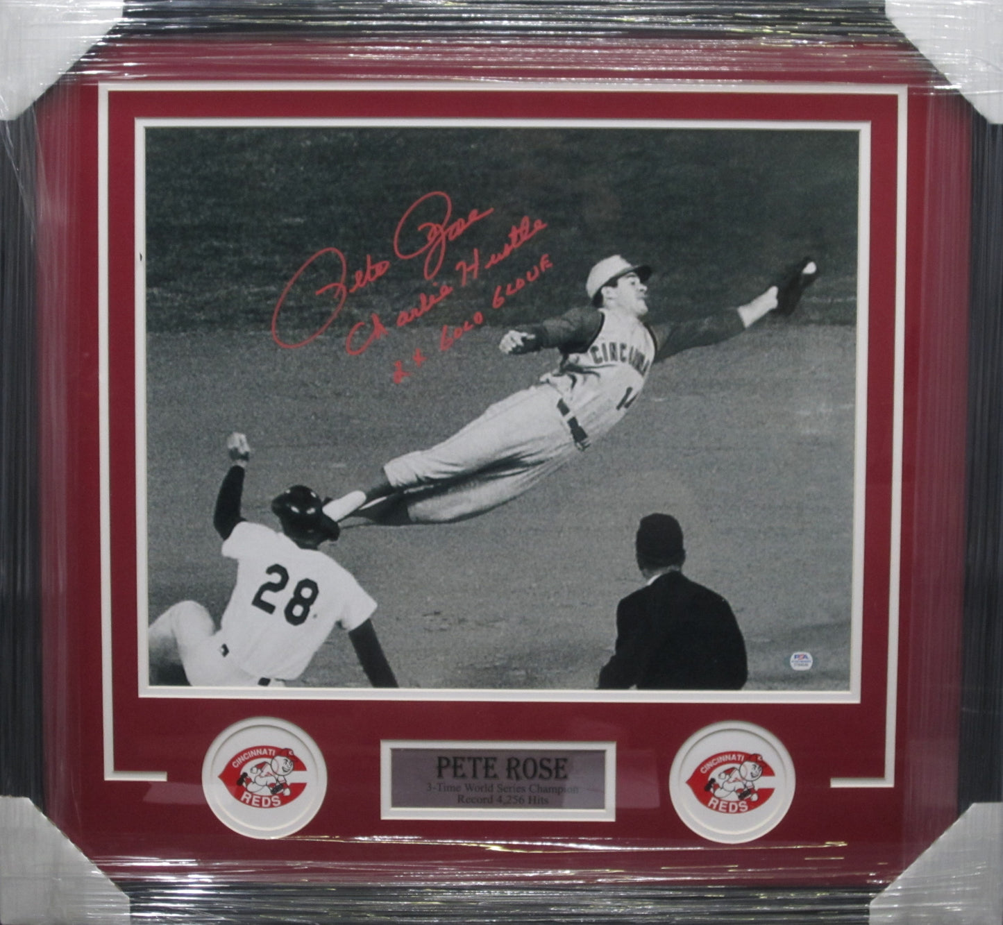 Cincinnati Reds Pete Rose Hand Signed Autographed Large Photo with Charlie Hustle & 2X Gold Glove Inscriptions Custom Framed & Matted with PSA COA
