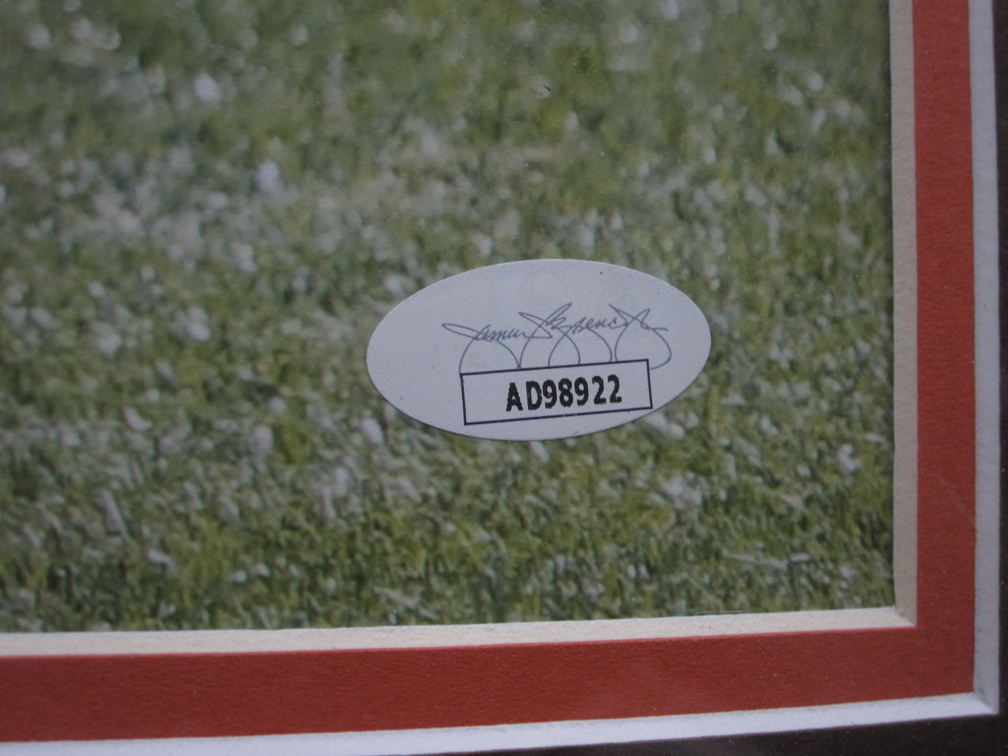 Cleveland Browns Nick Chubb Hand Signed Autographed 16x20 Photo Framed & Matted with JSA COA