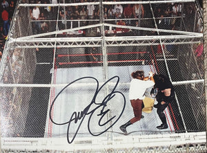 Mick Foley WWE Signed 8x10 Cage Photo w/ Undertaker JSA COA